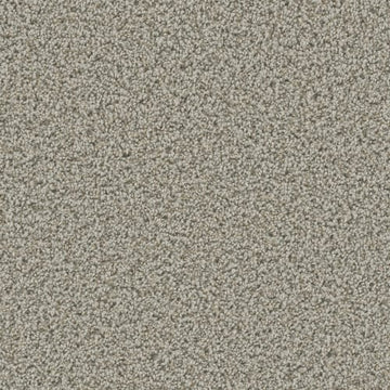Stucco
