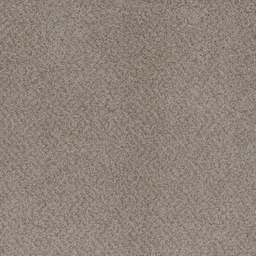 Sahara