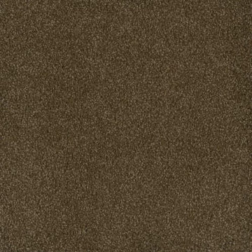 Black Walnut