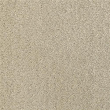 Ivory Cream