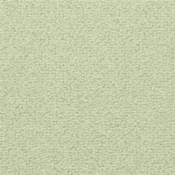 Fern Mist