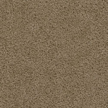 Honey Beige