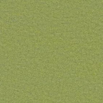 Lime Twist