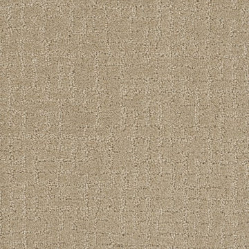 Soft Pine