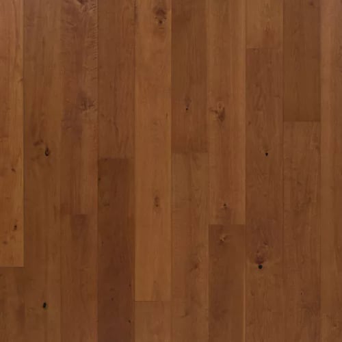 Bellacree in Cognac Walnut