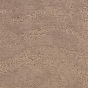 Shark Skin