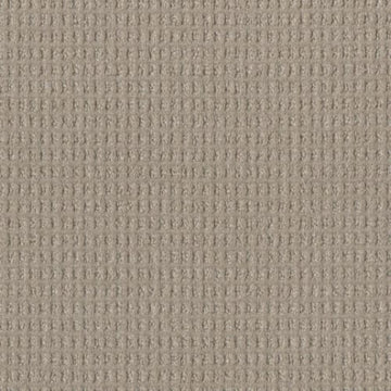 Pearly Lace