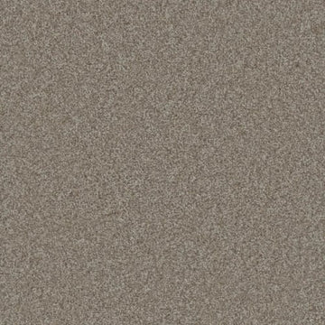 Alloy