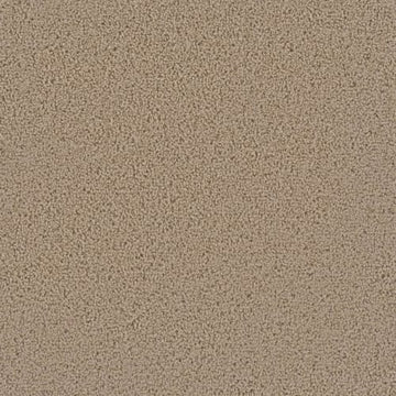 Satinwood