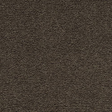 Rich Taupe