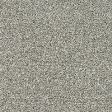 Ambience