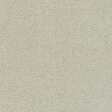 Pale Oak