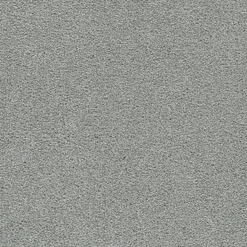 Tidecrest