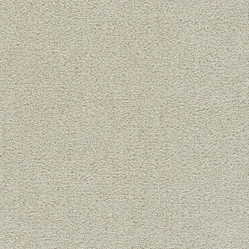 Pale Oak