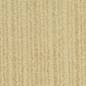 Cedar