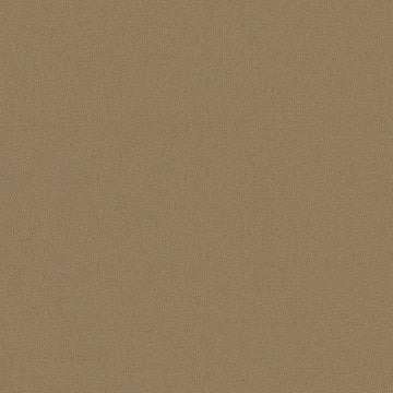 Canyon Dust