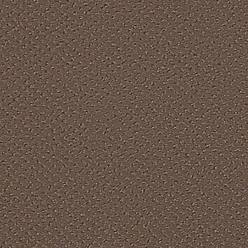 Riverbed