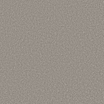 Lunar Surface