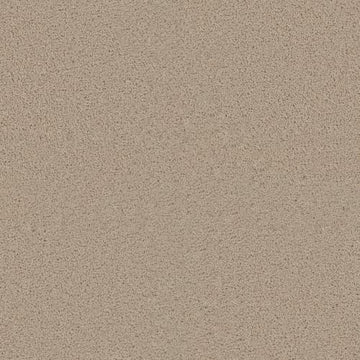 Eggshell