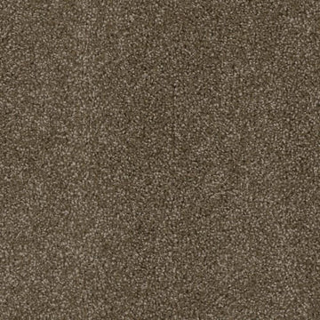 Black Walnut
