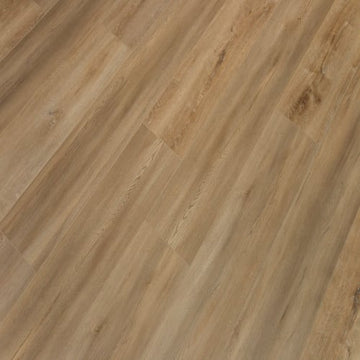 Golden Hour Oak