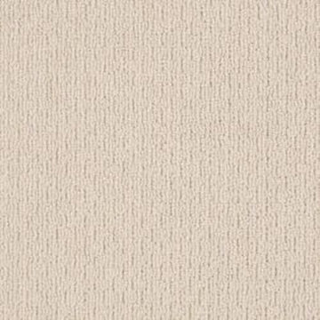 Chic Cream
