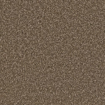 Black Walnut