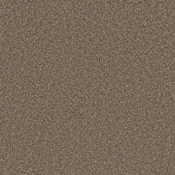 Acorn