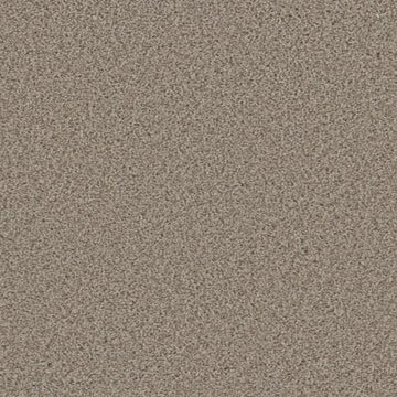 Stucco