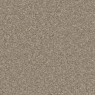 Quail