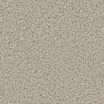Stucco
