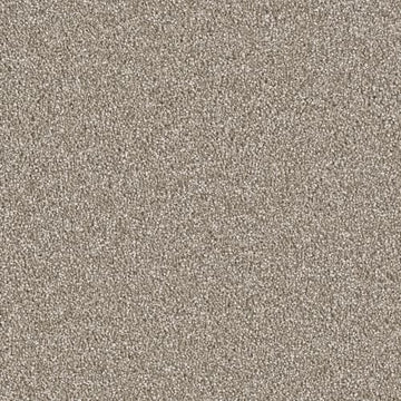 Quail