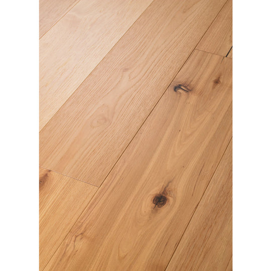 Argonne Forest Hickory