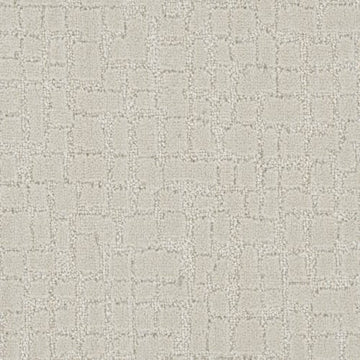 Blank Canvas