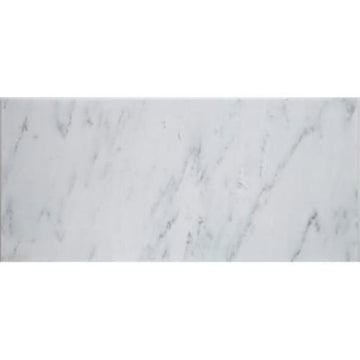 Asian Statuary Honed 12x24