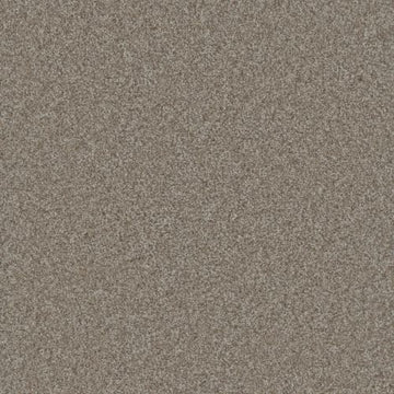 Alloy