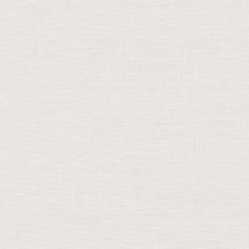 Ivory 12x24 Rectified Matte