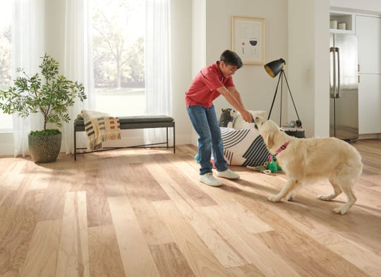 Dogwood Pro Yellow Birch Engineered in Unparalleled Natural 6-1/2"