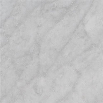 Carrara White - 12x12