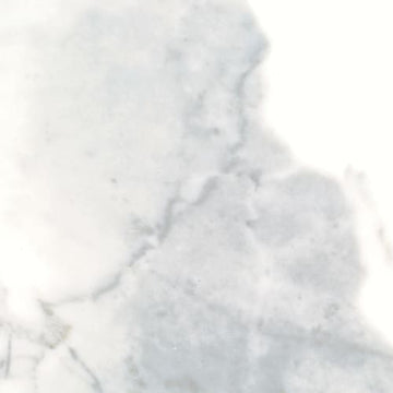 Calacatta 12x24 Pressed Matte