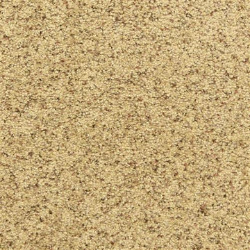 Pebble Mosaic