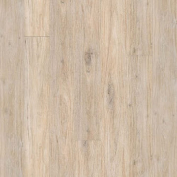 Cathedral Grove / 7.6 x 54.45
