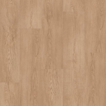 Bamboo Grove / 7.6 x 54.45