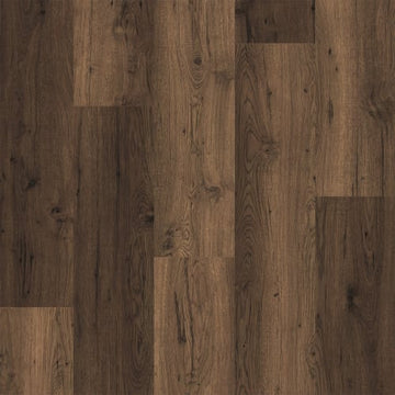 Beech Forest / 7.6 x 54.45