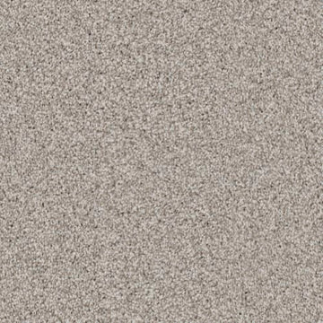 Pebble