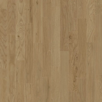 Renew / 7 x 48