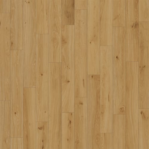 PureGrain High-Def - Divine