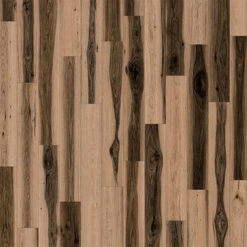 Bruno / 7 x 60