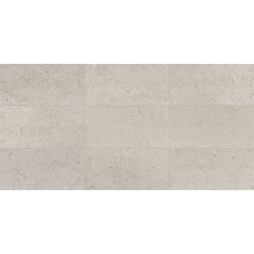 Delancey Grey 12x24 Polished