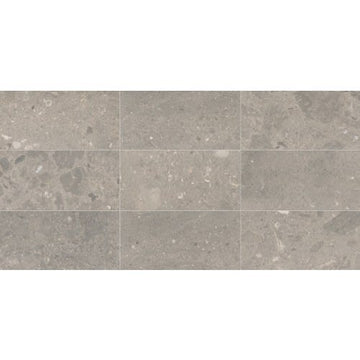 Arch Grey 12x24 Honed